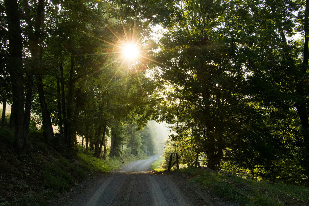 Das musst du über Vitamin D3 und K2 wissen.