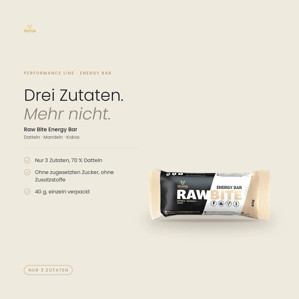 Raw Bite Energy Bar 40g